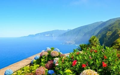 Zero scali: voli diretti dall’Italia a Madeira!